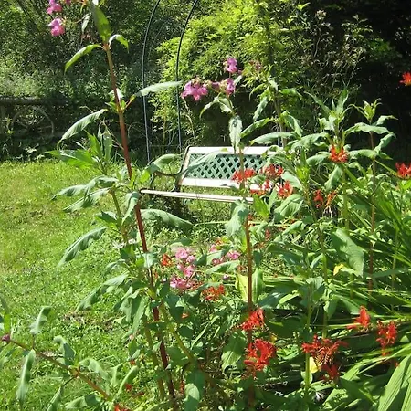 Alte Muehle Mit Wunderbarem Bergblick Hébergement de vacances *