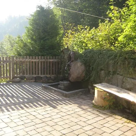 Alte Mühle Mit Wunderbarem Bergblick