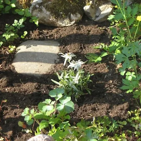Alte Mühle Mit Wunderbarem Bergblick Ramsau bei Berchtesgaden