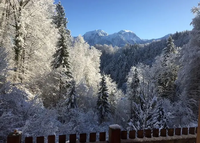 Hébergement de vacances Alte Muehle Mit Wunderbarem Bergblick Ramsau bei Berchtesgaden