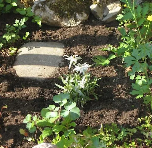 Alte Muehle Mit Wunderbarem Bergblick Ramsau bei Berchtesgaden