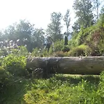 Alte Muehle Mit Wunderbarem Bergblick *