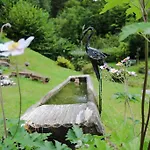 Alte Muehle Mit Wunderbarem Bergblick